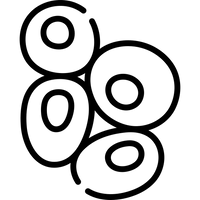 Cellular Renewal